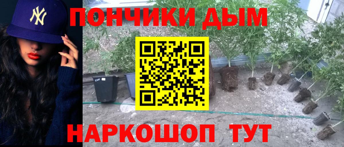 Альфа ПВП Топки